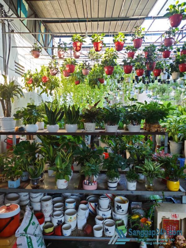 Sang nhượng cửa hàng hoa nằm mặt tiền đường Hòa Bình, phường Hiệp Tân, quận Tân Phú. 