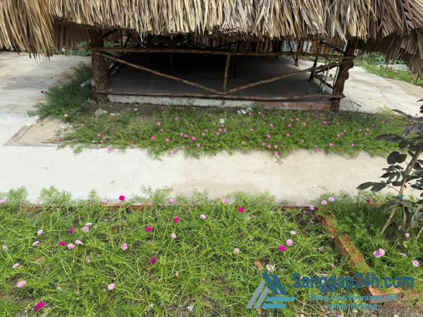 Sang quán ăn - nhậu