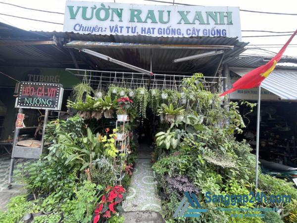 Cần Sang Nhượng Cửa Hàng Cây Cảnh Ở Quận 12